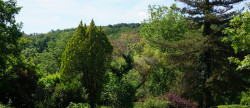 vente Maison de caractère Saint Jean De Cole