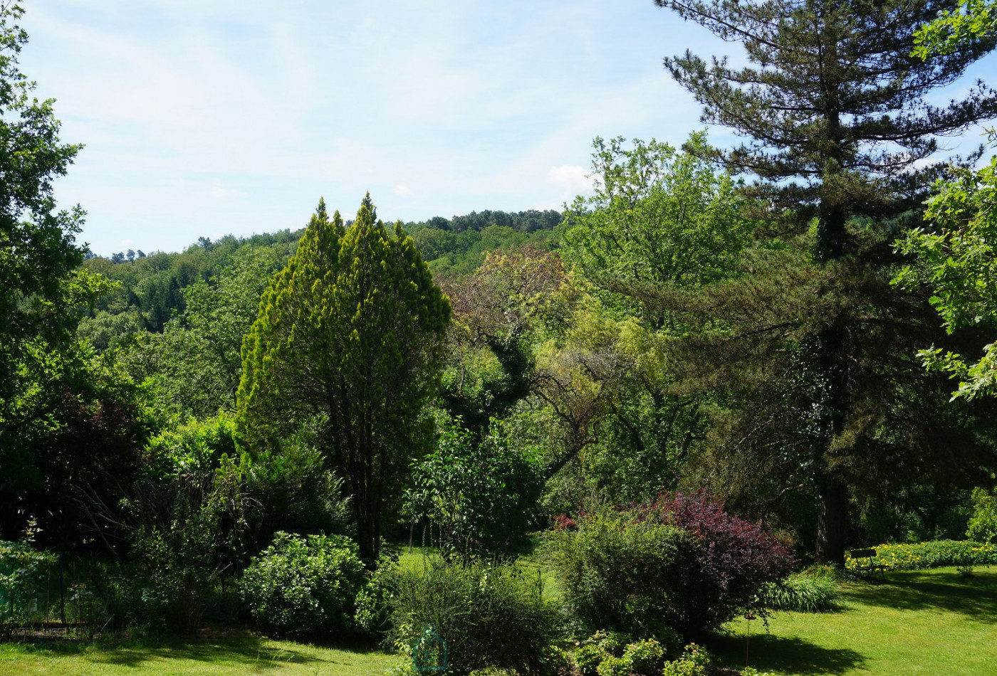 vente Maison de caractère Saint Jean De Cole - Photo 8