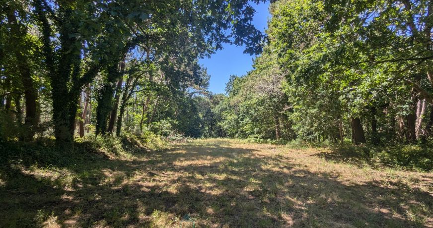 vente Maison individuelle Riantec
