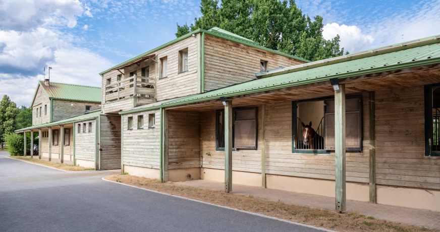 vente Haras / equestre Fontainebleau