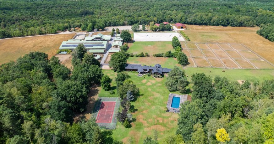 vente Haras / equestre Fontainebleau