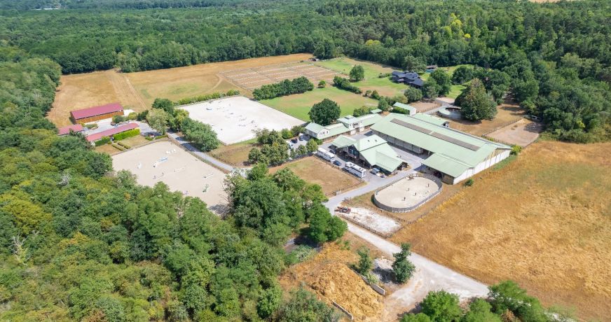 vente Haras / equestre Fontainebleau