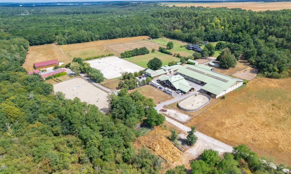 vente Fontainebleau