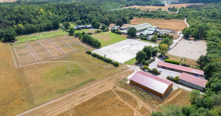 vente Haras / equestre Fontainebleau
