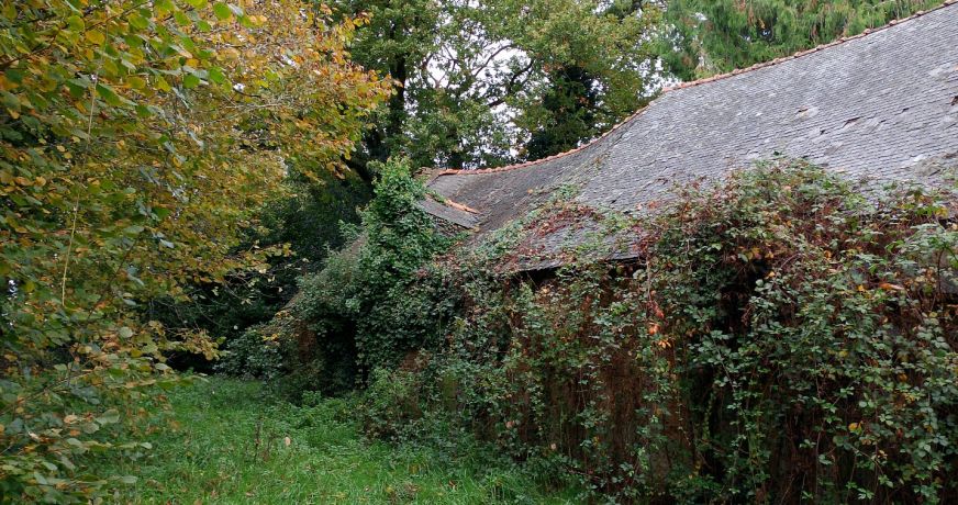 vente Maison Meneac