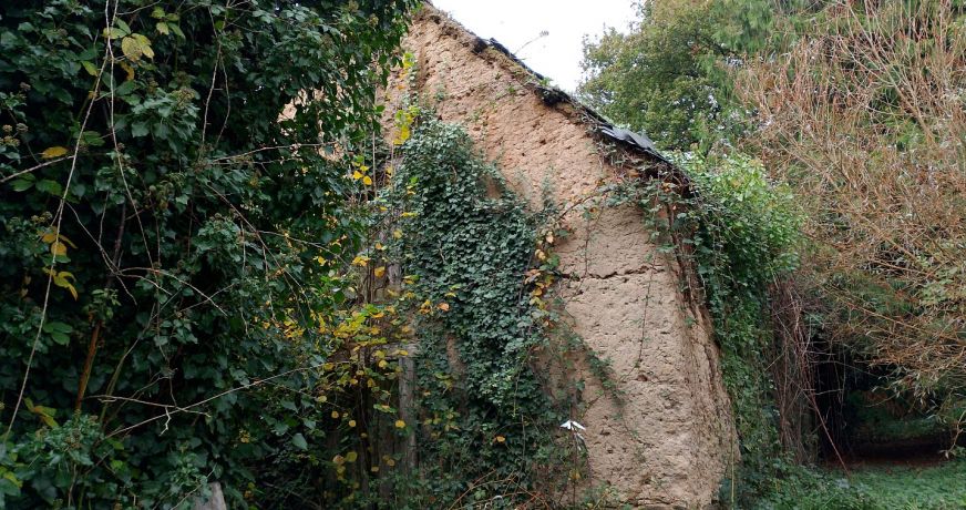 vente Maison Meneac