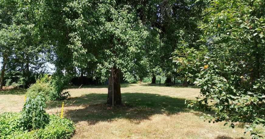 vente Maison Kerfourn