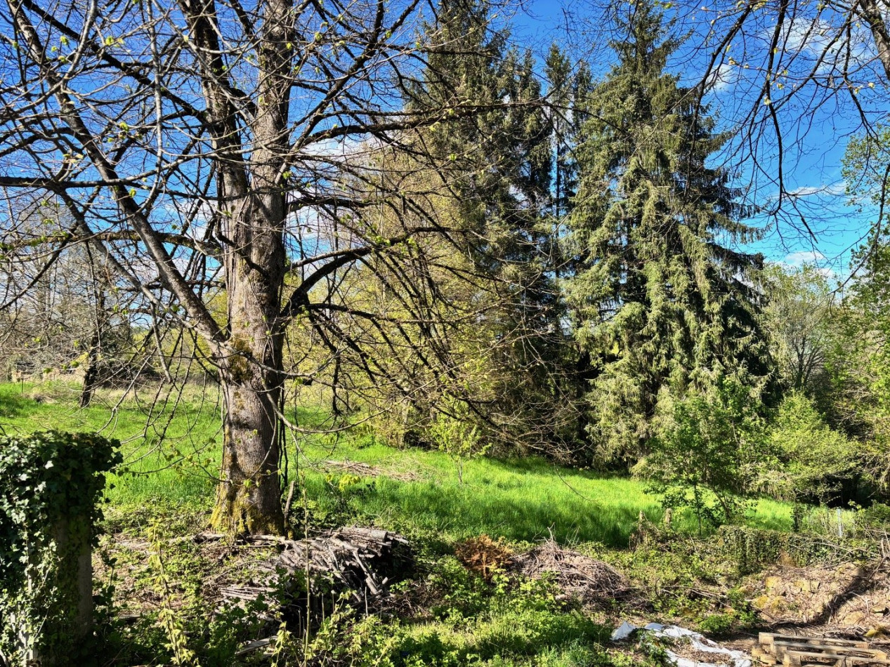 vente Maison de village Chamberet - Photo 11