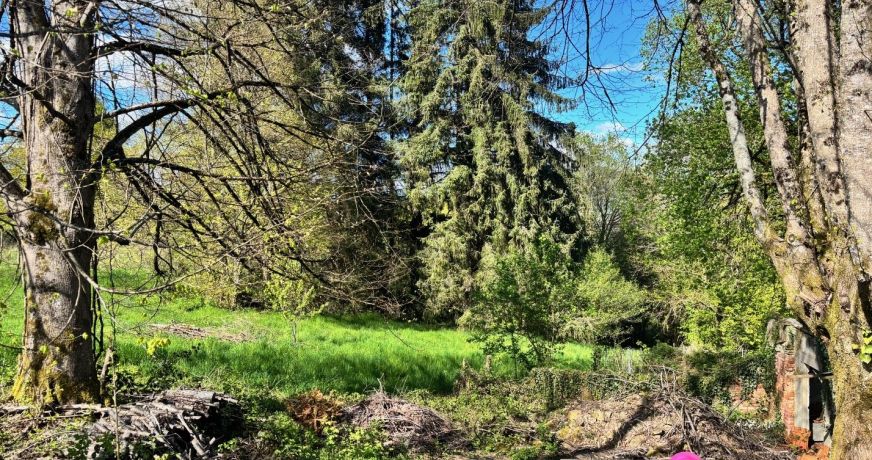 vente Maison de village Chamberet