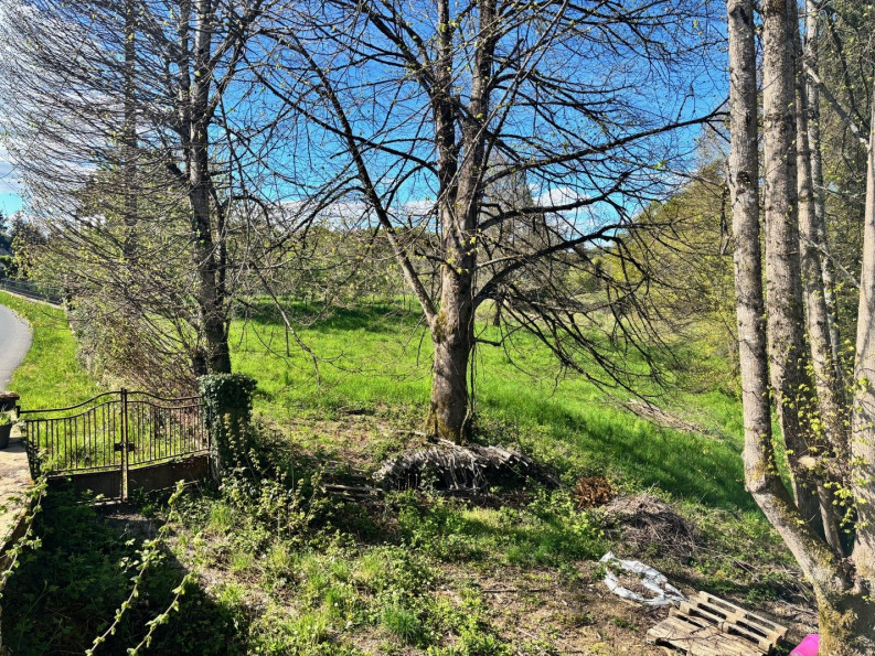 vente Maison de village Chamberet - Photo 1