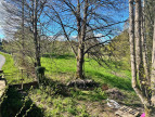 vente Maison de village Chamberet
