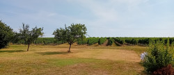 vente Maison de village Lorignac