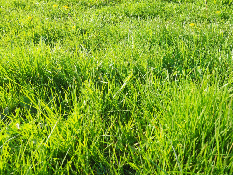 vente Terrain constructible Groix - Photo 1