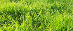 vente Terrain constructible Groix