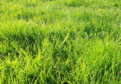 vente Terrain constructible Groix