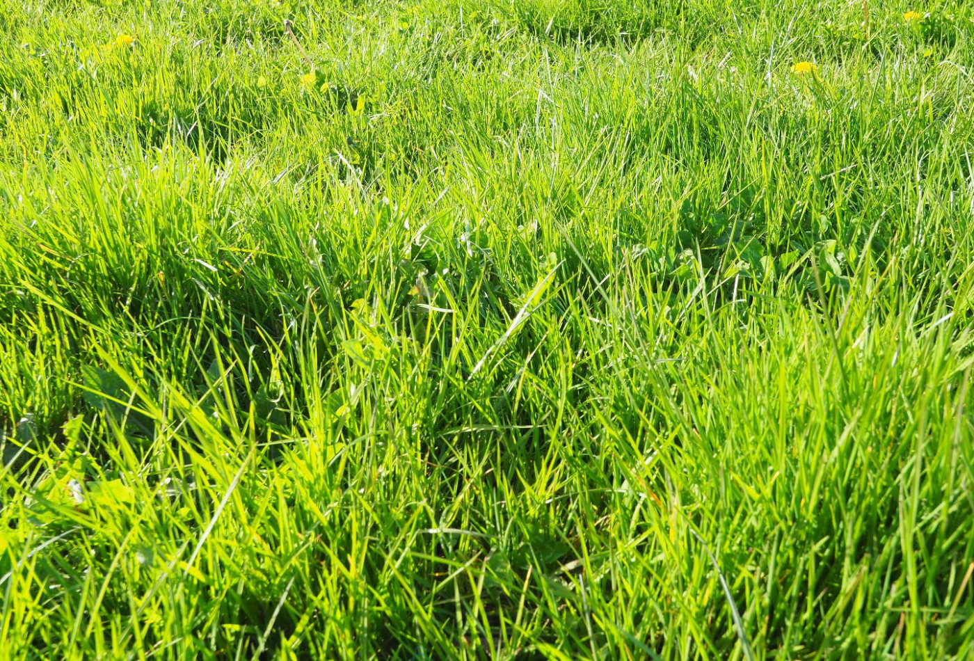 vente Terrain constructible Groix - Photo 1