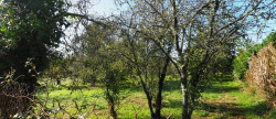 vente Terrain constructible Guern