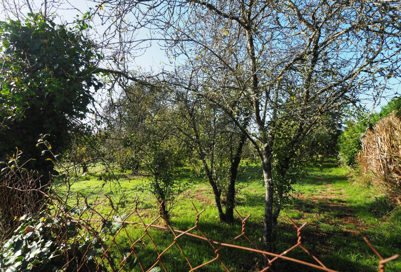 vente Terrain constructible Guern - Photo 3