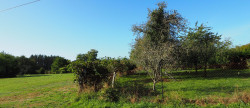 vente Terrain constructible Guern
