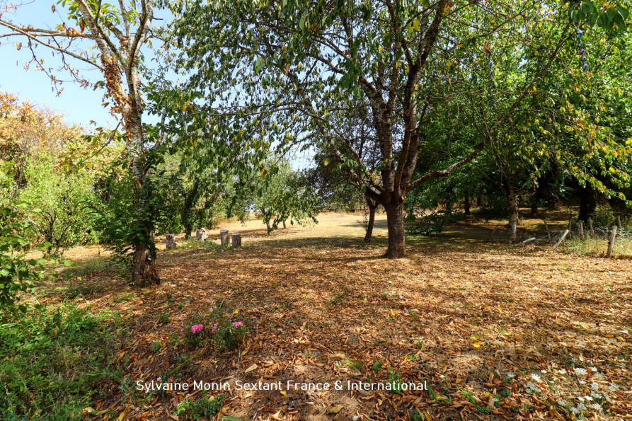vente Propriété Preyssac D'excideuil - Photo 9