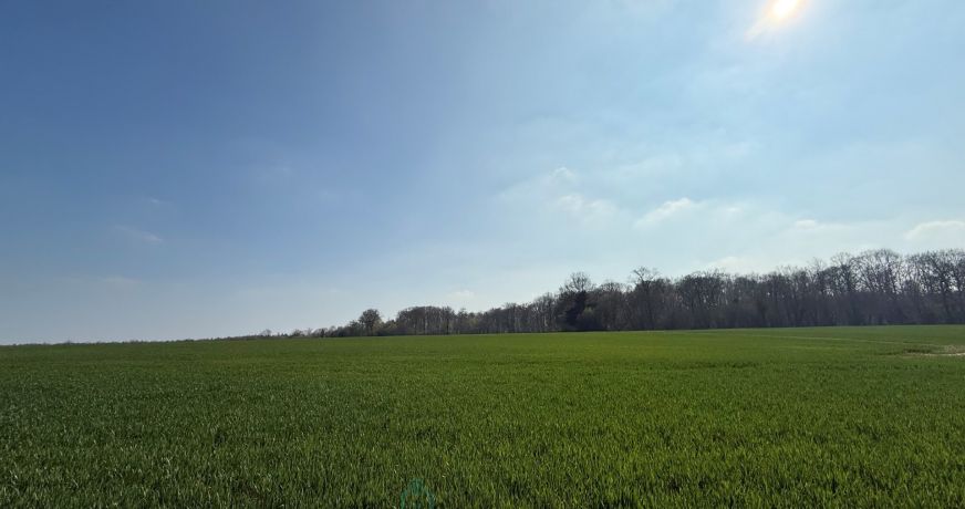 vente Maison contemporaine Bourgtheroulde Infreville