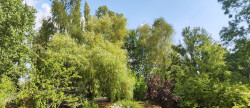 vente Maison Lisieux