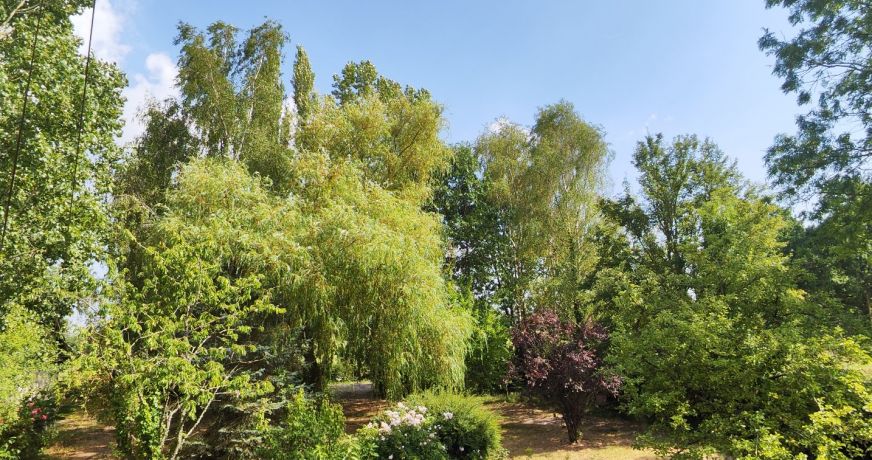 vente Maison Lisieux