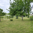 vente Maison Marcillac Lanville