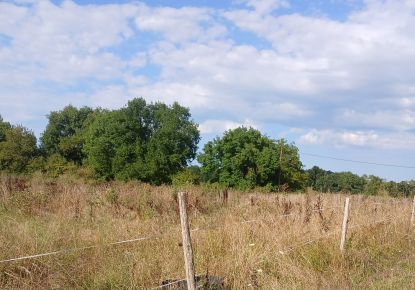 vente Terrain constructible Riberac