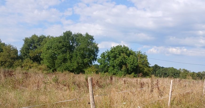 vente Terrain constructible Riberac