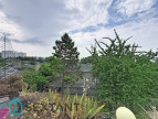 vente Appartement Rouen