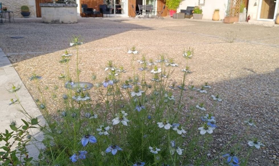vente Perigueux