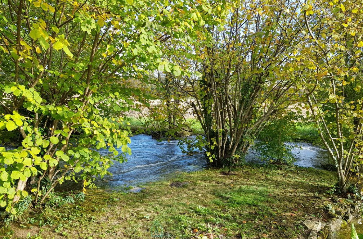 vente Moulin Angouleme - Photo 6