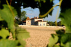 vente Propriété Cognac