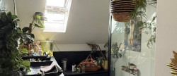 vente Appartement en résidence Rouen