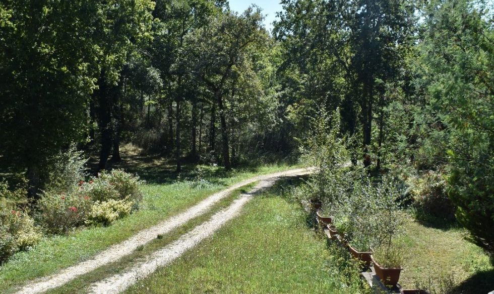 vente Rouffignac Saint Cernin De Reilhac