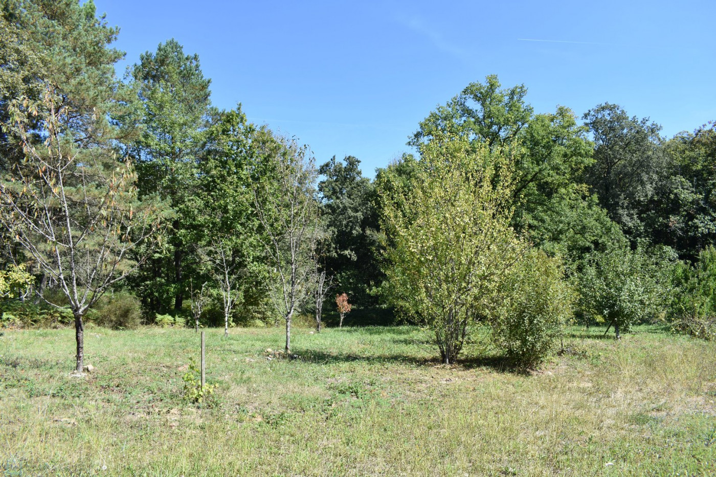 vente Propriété Rouffignac Saint Cernin De Reilhac - Photo 9