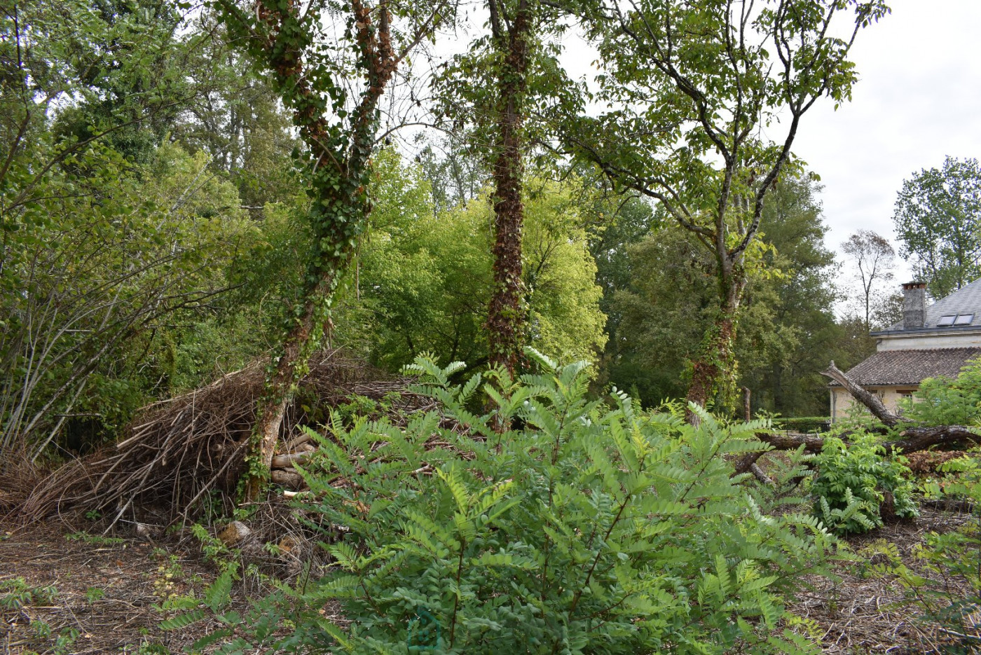 vente Maison Moulin-neuf - Photo 17