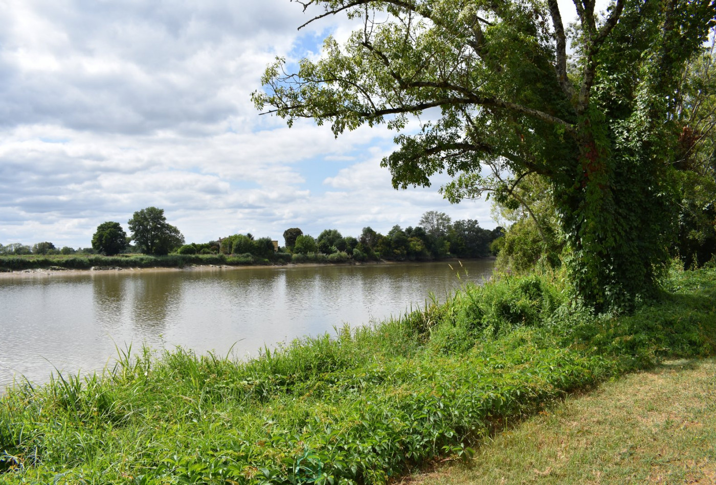 vente Maison Moulin-neuf - Photo 6