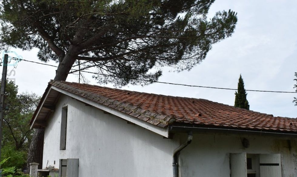 vente Moulin-neuf