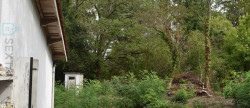 vente Maison Moulin-neuf