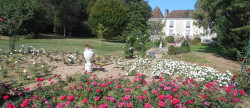 vente Château Nontron