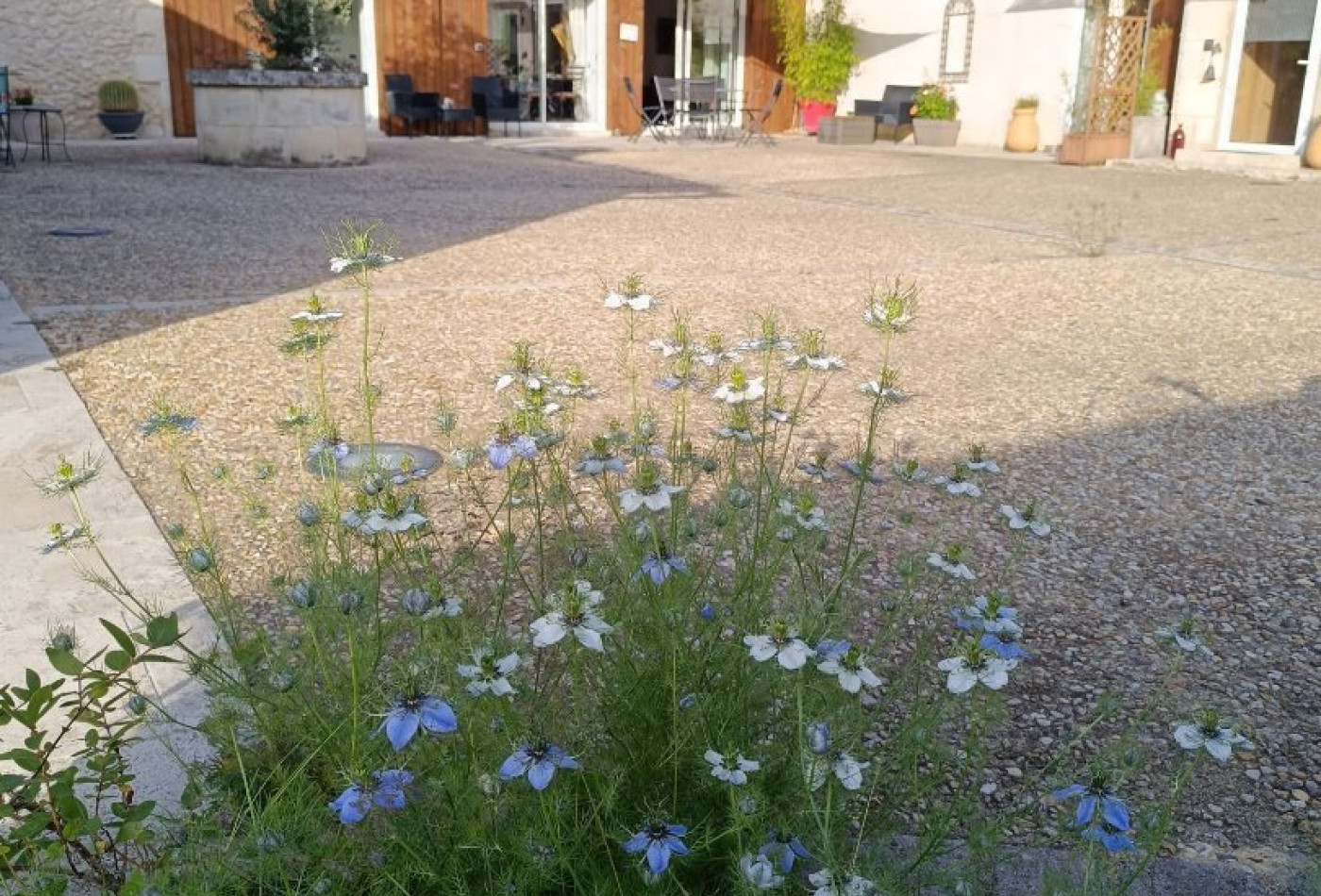 vente Ferme Perigueux - Photo 8