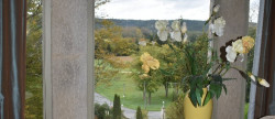 vente Château Escoire