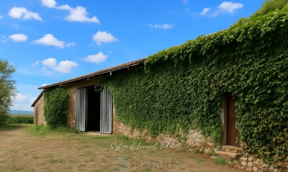 vente Montguyon