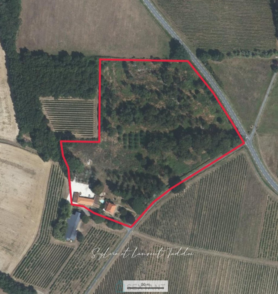 vente Maison bourgeoise Montguyon - Photo 19