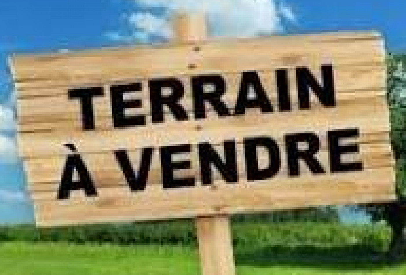 vente Terrain constructible Les Essarts - Photo 1