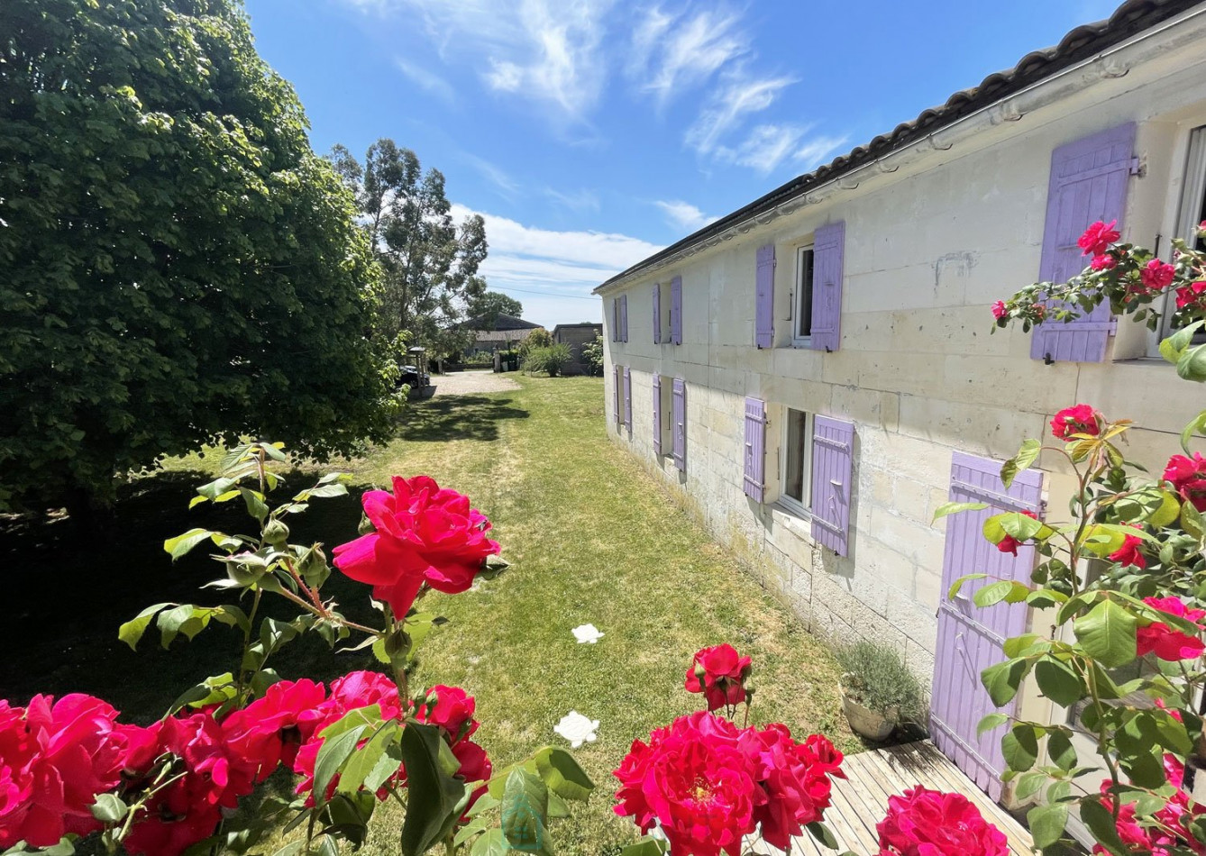 vente Maison individuelle Nieul Les Saintes - Photo 2