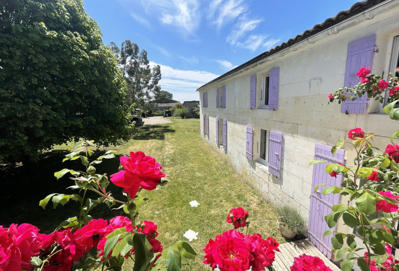 vente Maison individuelle Nieul Les Saintes - Photo 2