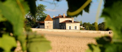 vente Propriété Cognac